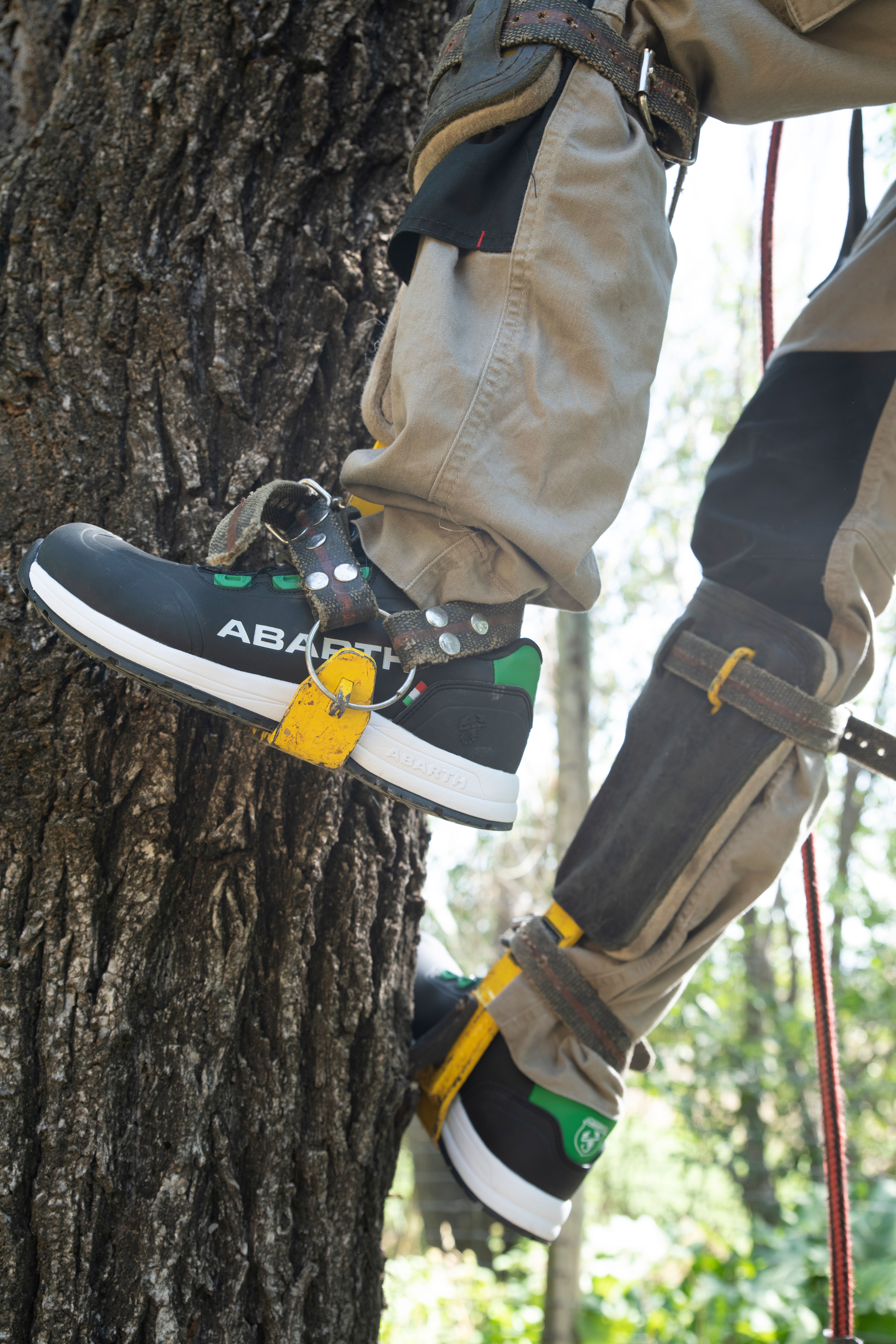 Ein Arbeiter trägt schwarze ABARTH Sicherheitsschuhe mit grünen Details und weißer Sohle beim Baumklettern mit Steigeisen und Sicherungsseilen.